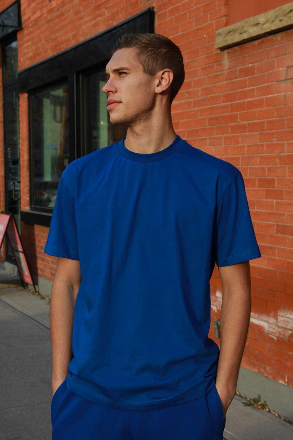 Adults' Premium T-shirt Unisex